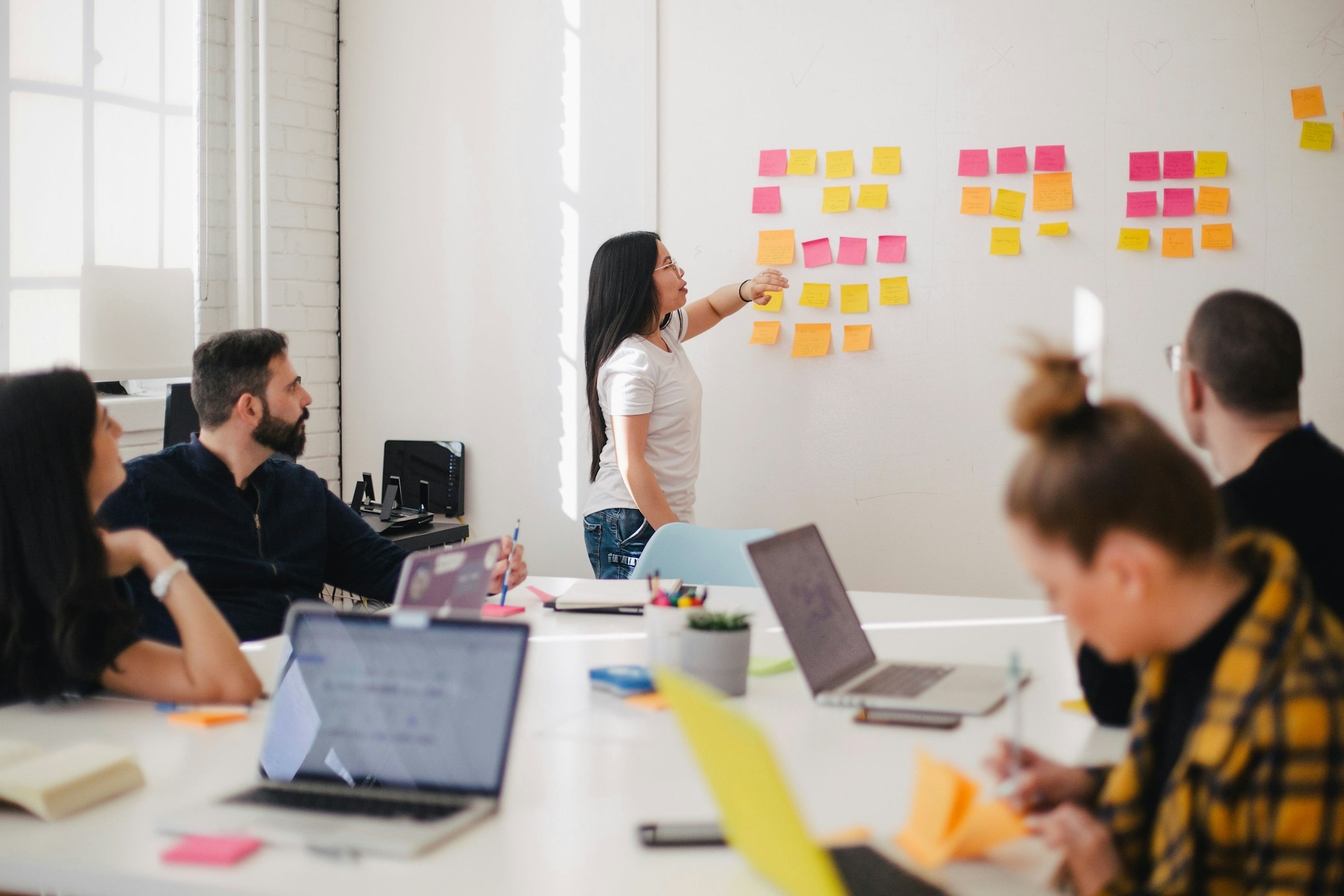 Professional Software Development Team